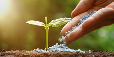 Fertilizer application