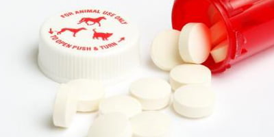 Veterinary Manufacturing